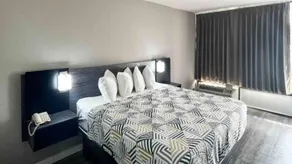Pleasant holiday apartment | Pets allowed - Image 3