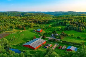 Radiant Mountain Retreat with Natural Light Near the Pocono Mountains, Pleasant Mount, Pennsylvania - Image 2