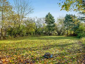 Children-friendly house with terrace, sauna & barbeque | Next to the beach | Pets allowed - Image 3