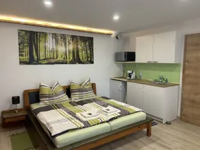 Appartamento con sauna, terrazza e griglia - Image 3