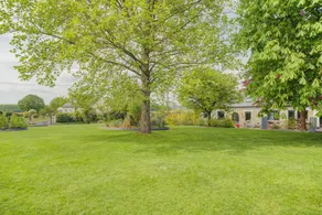 Family-friendly wonderful cottage with BBQ, garden & terrace | Garden view | Suitable for remote work | Dogs allowed - Image 5
