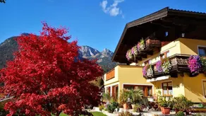 Holiday apartment with garden - Image 4