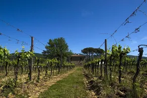 Agriturismo La Concezione: Camera matrimoniale Trebbiano - Image 3