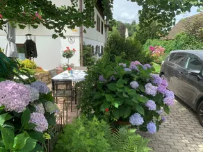 Holiday apartment with 2 bedrooms for 5 persons - Image 4