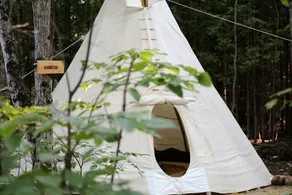 Chief Joseph Tipi in Toronto, Ontario - Image 2
