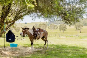 Enjoyable Tiny House with Great Sights in Myrtle Creek, New South Wales - Image 3