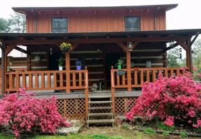 Cabin with private pool - Image 5