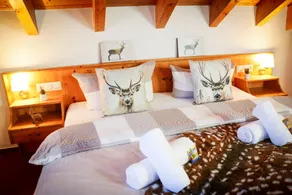 Dearest Deer – Cozy Family Room with Balcony and Great View for 3 Guests - Image 3
