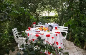 Gîte avec barbecue et jardin | Vue jardin - Image 4