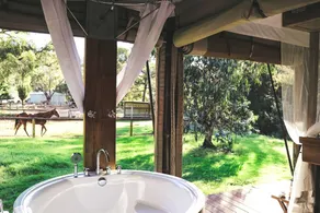 Riverside Romantic Glamping Tented Villa near Blue Mountains, New South Wales - Image 5