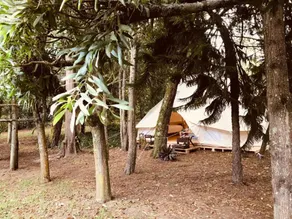 Green Glamping el Salitre - Image 3