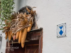 Apartment mit Terrasse und Garten | Naturblick - Image 4