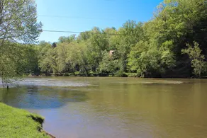 Family-oriented wonderful cottage with garden, BBQ & fast internet | River view | Pets allowed - Image 2