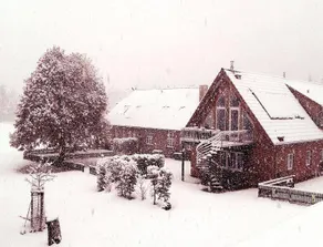 Apartment with garden, BBQ & sauna - Image 4