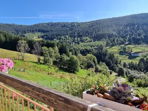Charming mountain B&B rooms, pets allowed with approval - Image 5