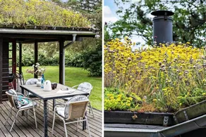 Maison de vacances avec terrasse et barbecue | Avec animaux bienvenus - Image 2