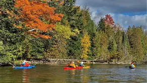 Gorgeous Cottage with Stunning Sights in Wellston, Michigan - Image 5