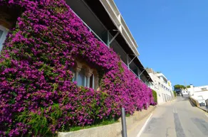 Appartement de vacances avec piscine, terrasse et jardin - Image 5