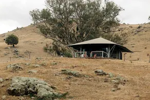 Luxury Glamping Tent with Riverside Farm Views Retreat in Berremangra, Australia - Image 3