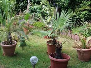 Holiday apartment with terrace & garden - Image 4