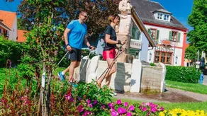 Einzelzimmer für 1 Person (20 m²) in Bad Waltersdorf - Image 2