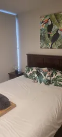 Chambre chez l'habitant avec jardin et piscine - Image 5