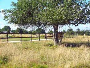 Gite with terrace, garden & barbecue - Image 3