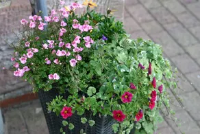 Appartamento con terrazza - Image 3