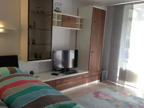 Elbappartement Dresden - Image 5