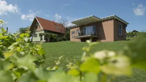 House with terrace, sauna & barbecue - Image 2