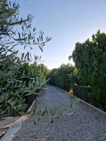 La Mandragola Relais - Il Torchio 1 - Image 5
