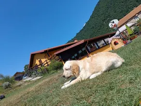 Vegia Roe: Bungalow Sottobosco - Image 2