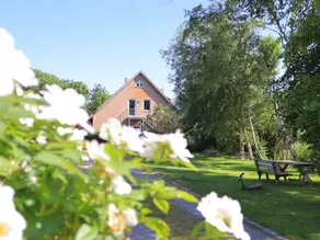 "Watt´n Dog" - Urlaub direkt am Nordseedeich - Image 2