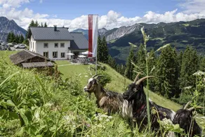 Berggasthof Grabs - Image 2