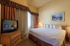 Cozy Pet-friendly King Studio In Mt. Crested Butte Condo - No Cleaning Fee! by RedAwning - Image 4