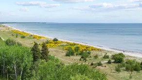 Child-friendly pleasant holiday home with jacuzzi, terrace & private pool | Close to the beach | Dogs allowed - Image 2