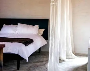 Pet-Friendly Cabin Rental with Ancient Peppercorn Tree in Castlemaine, Victoria - Image 4