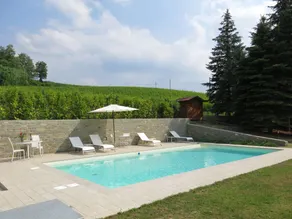 Fully equipped wonderful holiday home with private pool, terrace & BBQ | Dogs allowed - Image 2