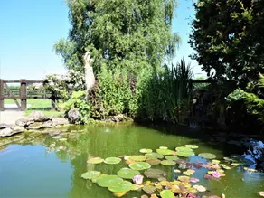 Holiday home with garden & barbecue - Image 4