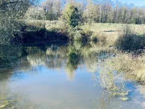 Luxury cottage with heated pool and SPA in the heart of the Loire Valley - Image 4