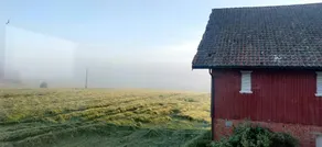 House with terrace & barbeque - Image 4