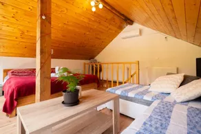 Studio flat with hot tub Delnice, Gorski kotar (AS-24261-a) - Image 5