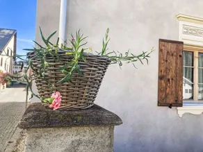 Ferienwohnung mit Terrasse und Garten | Bergblick - Image 3