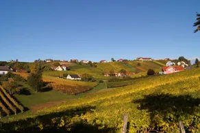 Winzerhof Familie Klöckl - Image 4