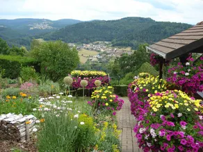 Family-friendly cottage with garden, terrace & BBQ | Mountain view | Dogs allowed - Image 2