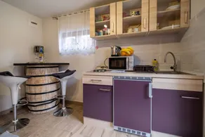 Studio flat with hot tub Delnice, Gorski kotar (AS-24261-a) - Image 2