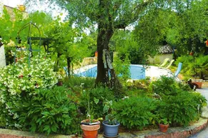 Family-oriented pleasant villa with barbeque, pool & garden | Mountain view - Image 5