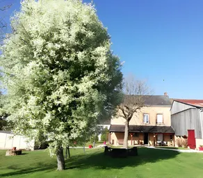 Lodge with terrace & garden | Garden view - Image 2