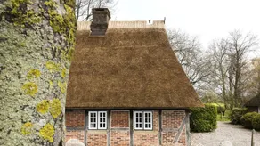Fully equipped lovely holiday home with terrace, barbecue & garden | Garden view | Good for workation | Pets are welcome - Image 2