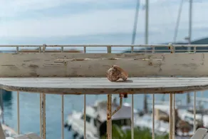 Charmant appartement adapté aux familles | Proche de la plage | Avec animaux acceptés - Image 5
